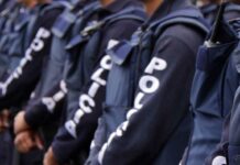 Casos de corrupción inundan ‘Whats’ de Norma Layón Norma Layón