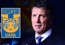 ¡Oficial! Siboldi, nuevo DT de los Tigres UANL Tigres