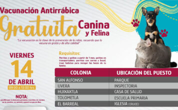 Vacunación contra rabia de perritos y gatitos continúa en Atlixco Vacunación