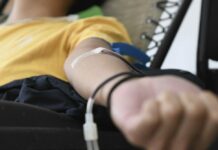 Salud ponen en marcha jornada de donación de sangre