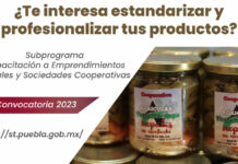 ¿Quieres profesionalizar tu emprendimiento? Habrá capacitación gratis capacitación