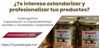 ¿Quieres profesionalizar tu emprendimiento? Habrá capacitación gratis capacitación