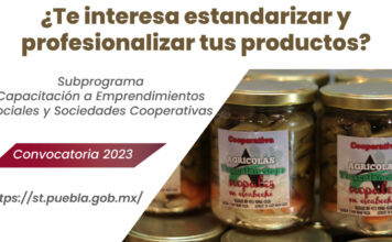 ¿Quieres profesionalizar tu emprendimiento? Habrá capacitación gratis capacitación