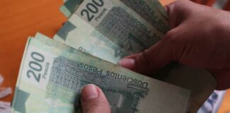 Piden homologar Ley 3 de 3 para que deudores alimentarios no ocupen cargos deudores alimentarios