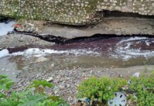 Detectan empresas clandestinas que contaminan al río Alseseca empresas