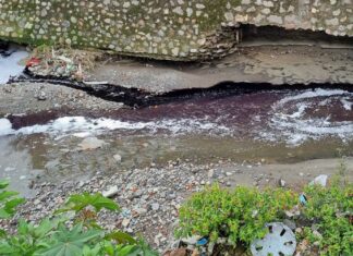 Detectan empresas clandestinas que contaminan al río Alseseca empresas
