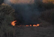 Puebla ha registrado mil 223 incendios de pastizales en el año incendios