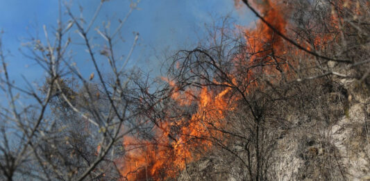 incendios forestales