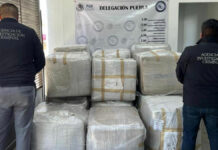 Aseguran en Cuautlancingo 750 kilos de marihuana marihuana