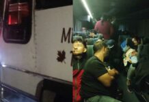 Aseguran a 162 migrantes en Yucatán Migrantes