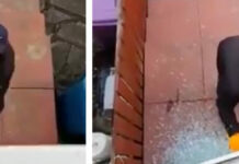 Dueño capta desde su ventana robo fallido a su propia casa Casa