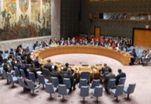 ONU pide no incluir a Tayikistán y Bielorrusia en Consejo de Seguridad Consejo de Seguridad