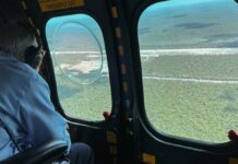 AMLO inaugurará el Tren Maya en diciembre