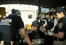 Interpol alerta sobre el crecimiento del crimen organizado en Europa
