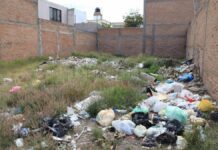 Van por multas de 31 mil pesos a dueños de lotes olvidados