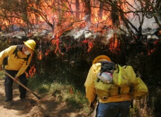 Suman 282 incendios forestales controlados en lo que va del 2023
