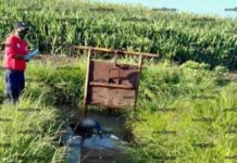 Muere menor ahogado en canal de riego en Tlapanalá