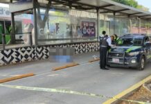 Conductor ebrio atropella y mata a mujer en Bulevar 5 de Mayo