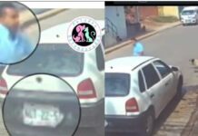 Hombre lanza a perrito a un cazo con aceite hirviendo en Edomex