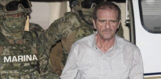 Juez ordenó liberar a ‘El Güero’ Palma en 3 horas: AMLO El Güero