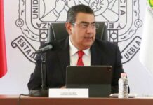 Maltrato animal es castigado hasta con 8 años de cárcel: Salomón Sergio Salomón Céspedes Peregrina