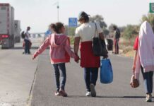México debería implementar modelo para integrar a migrantes: Especialista México