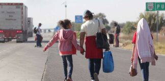 México debería implementar modelo para integrar a migrantes: Especialista México