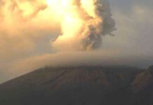 Popocatépetl suma cuatro días consecutivos sin explosiones: Cenapred Popocatépetl