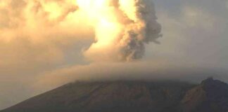 Popocatépetl suma cuatro días consecutivos sin explosiones: Cenapred Popocatépetl