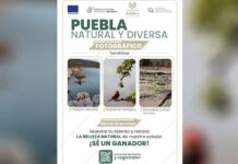 Convocan a Concurso de Fotografía “Puebla Natural y Diversa” Puebla