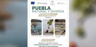 Convocan a Concurso de Fotografía “Puebla Natural y Diversa” Puebla