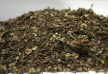 En Puebla domina consumo de marihuana y cristal: Drogadictos Anónimos Puebla