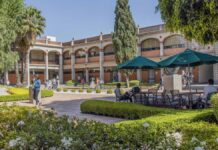 Contaduría enfrenta retos ante inteligencia artificial: Académica UDLAP UDLAP