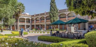 Contaduría enfrenta retos ante inteligencia artificial: Académica UDLAP UDLAP