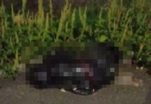 San Francisco Ocotlán: localizan cadáver embolsado