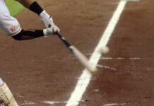 Pericos de Puebla sin béisbol por actividad del Popocatépetl béisbol