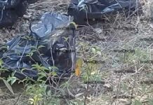 Dejan seis bolsas con restos humanos en frontera de Puebla y Tlaxcala bolsas