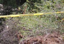 Encuentran cadáver baleado y embolsado en Palmar de Bravo bolsas de restos