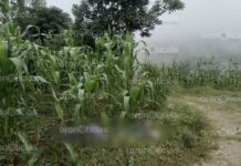 Hallan cadáver baleado en campos de cultivo de Chiconcuatla cadáver