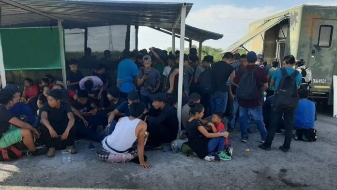 migrantes
