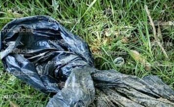 Encuentran esqueleto presuntamente de mujer en Chignautla mujer