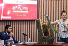 Texmelucan atiende plaga en árboles para evitar su propagación plaga