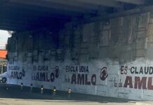 Medio Ambiente, sin competencia para regular propaganda en puentes Puentes