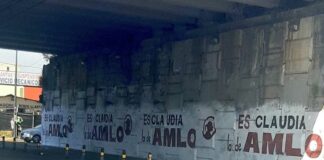 Medio Ambiente, sin competencia para regular propaganda en puentes Puentes