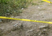 Encuentran restos óseos humanos en la México-Tuxpan restos