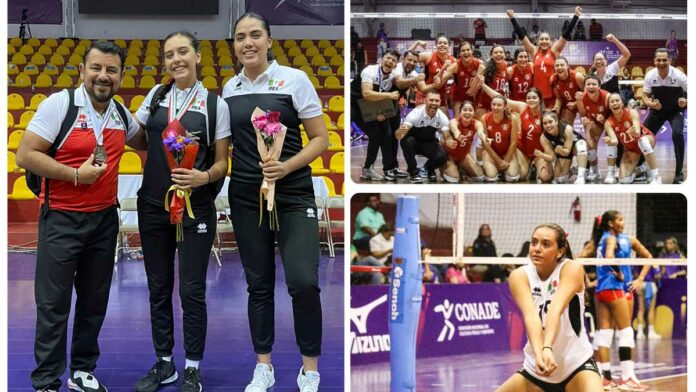 voleibol