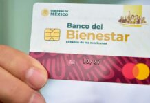 Pensión del Bienestar: Innecesario hacer files para retirar Bienestar