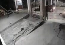 Piden justicia para perrita atropellada en la colonia La Joya