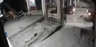 Piden justicia para perrita atropellada en la colonia La Joya