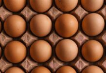 Alertan posible crisis de pollo y huevo por bloqueo en Chapulco